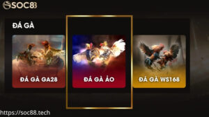 Giới thiệu sảnh đá gà ảo SOC88