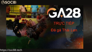 Khám phá sảnh đá gà GA28 tại SOC88